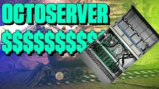 Octominer объявляет цену на Octoserver!