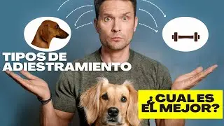 Tipos de ADIESTRAMIENTO CANINO ¿cual es el mejor? (CLÁSICO, POSITIVO, CLICKER, PSICOLOGÍA CANINA)