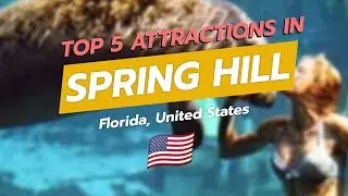 Топ-5 достопримечательностей Спринг-Хилла, Флорида 🗺️🌴 Уики-Уочи и многое другое