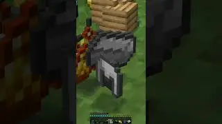 A Flawless Victory in Hypixel Speed UHC