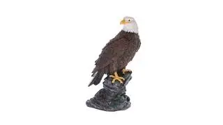 Resin Eagle Statue by Fox River&trade; Creations | Walter Drake