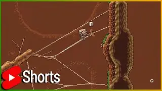 Even MORE Flies!