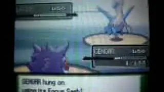 Pokemon Platinum-Battle Tower 100 Win Streak and Black Trainer Card-Rafael