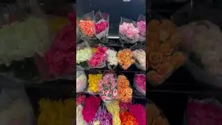 FLOWERS 💐 BEST IN  MIAMI  SOUTH BEACH 🏝️  Florida 🏝️🏝️🏝️