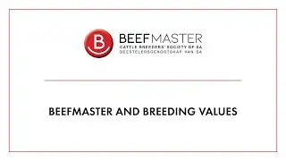 Beefmaster  |  Breeding Values