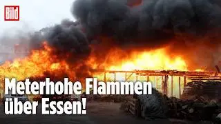 Gro&szlig;brand in Essen-Frillendorf: Holzbetrieb in Flammen