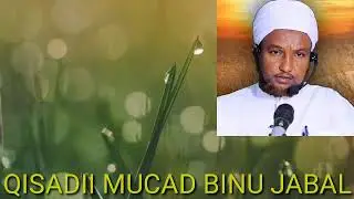 QISADII MUCAD BINU JABAL