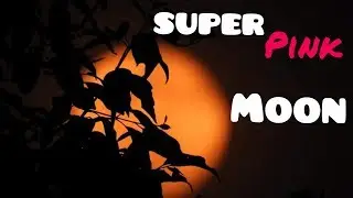SUPER  PINK MOON 🌙। 7 APRIL 2020। KOLKATA । INDIA