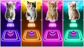 Cute Cat Dance | Old MacDonald Has A Farm, SAD, Say So, Stressed Out | Tiles Hop
