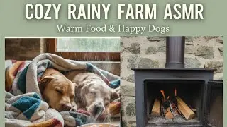 Failed at lighting the fire, but kept the dogs warm 🐾 Winter Farm Life in Spain (ASMR)