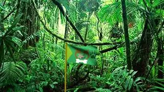 The flag that The country's people made for the love of Nature #CustomFlags