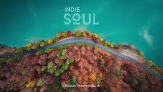 Indie Pop/Folk/Rock/Alt Compilation vol.5 | March 2021 | INDIE SOUL