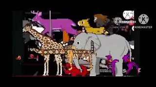 Zoo 6