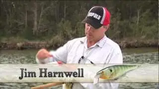 How to use: Rapala Super Shad Rap