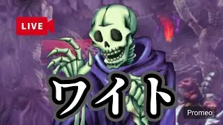 ＃おはくま（マスターデュエル）morning91［ワイトレベル1配信]