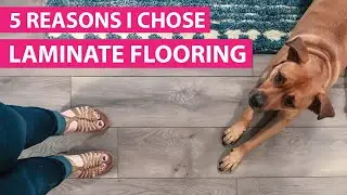 5 Reasons To Choose Laminate Flooring | Select Surfaces Spill Defense Laminate In Warm Gray
