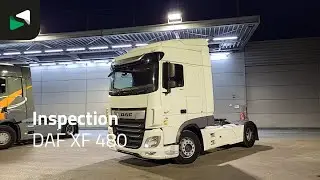 DAF XF 480 - 2018 - BAS World