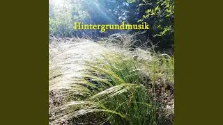 Musik im freien