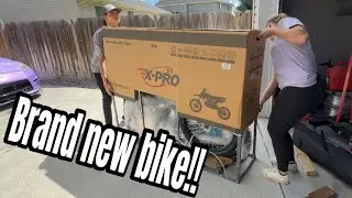 Build & Review on XPRO storm 150 dlx&hellip; Lexi&rsquo;s brand new bike