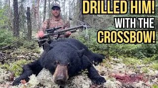 Hunting Black Bears with a CROSSBOW! | Manitoba Spring Bear Hunting 2023