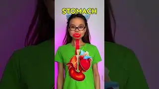 🧠 What Organs Do You Have? Body Parts Learning! #kids #learn