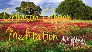 The Lost Archive - Crimson Clover Fragment - Meditation