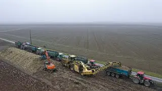 Déterrage de betteraves en Beauce I Nouvelle activité pour la Team Beauce Transport I ROPA MAUS 5
