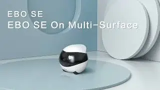 EBO SE | On Multi-Surface
