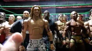 WWE Mattel 2015 Elite CUSTOM COLLECTION