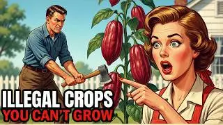 20 ILLEGAL Garden Crops You CAN'T GROW in America