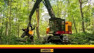 Landrich Track Harvester - with Ponsse H8(HD) Top saw and HH360 Rotator