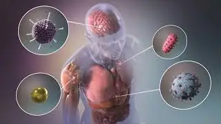 NIH Common Fund Somatic Cell Genome Editing Program