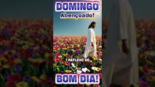 11 de janeiro de 2026