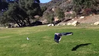 RC Airplane Bungee Launcher - Ritewing ZII Flying Wing