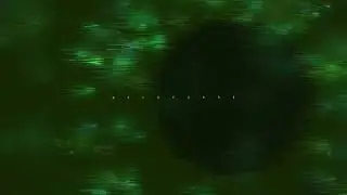 [TECHNO 2026] LiMiT - Waveforms