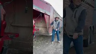It ain&rsquo;t much, but it&rsquo;s paid off and it&rsquo;s mine 🤠 #western #country #punchy #cowboy  #horse #ranch