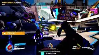 Ashe 3 piece