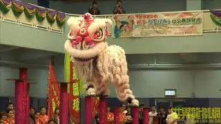 柔功门夏汉雄体育会夏敬文龙狮团B队