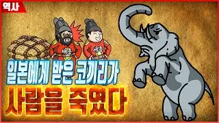 [그재무지] 일본에서 선물로 준 코끼리가 사람을 죽였다! | 뜻밖의 역사