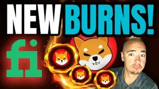 NEW WAY TO BURN SHIBA INU COIN!!!