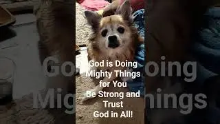 Gods Mighty Things! #victory #glory #power #answers #anointing #joy #faith #miracles #blessings