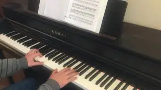 Ori and the Will of the Wisps - A Keepsake from the Past (Piano Arrangement)