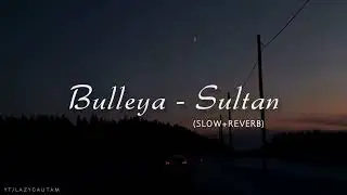 Bulleya-Sultan (Slow+Reverb) | Papon | Lofi Song | Salman Khan