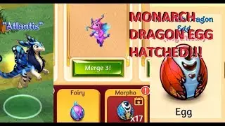 Fairies Dragons & Morpho Upgraded to Monarch Dragon   Merge Dragons