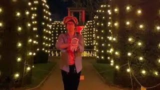 Light Juggling by Falabares in the Christmas Garden in Stuttgart