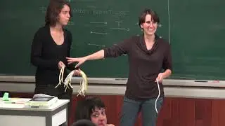 Circulos Matemáticos Ceci Neve y Lauri Rosales