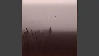 Distorted Perception