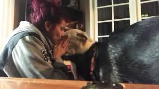 Doggy kisses from home