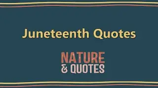 Juneteenth Quotes | Quotes by: Maya Angelou, Fannie Lou Hamer, Malcolm X | Nature & Quotes
