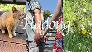 [VLOG]👫🏻아빠와 단둘이 하동여행 2편 ✶ 광양 살짝 찍먹🎶 ✶ 고양이 빠지면 섭섭한 브이로그가 되버려,,